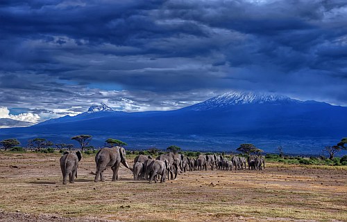 Kilimanjaro, Tanzania