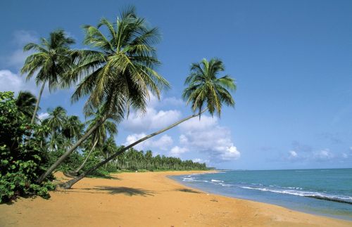 A beach in Puerto Rico