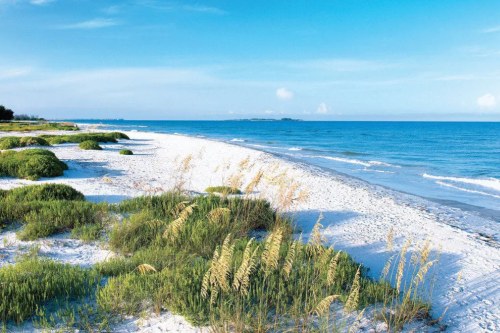 Beach near Tampa Bay, Florida