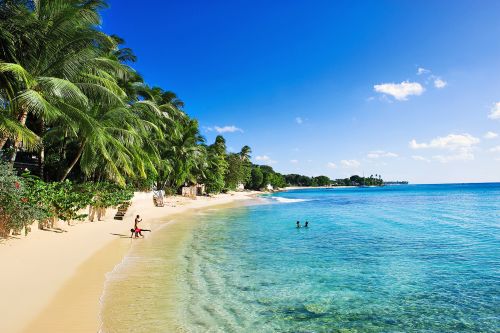 a beautiful beach in Barbados